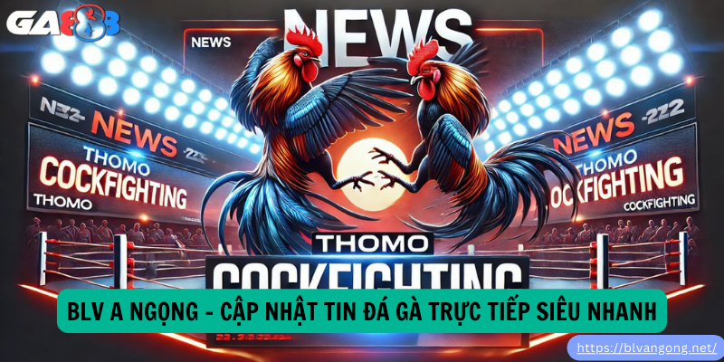 BLV A Ngọng – Cập Nhật Tin Đá Gà Trực Tiếp Siêu Nhanh BLV A Ngọng – Cập Nhật Tin Đá Gà Trực Tiếp Siêu Nhanh