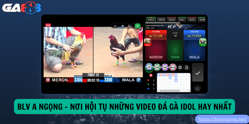 BLV A Ngọng – Nơi Hội Tụ Những Video Đá Gà Idol Hay Nhất BLV A Ngọng – Nơi Hội Tụ Những Video Đá Gà Idol Hay Nhất