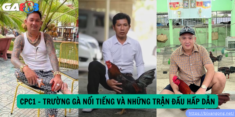 CPC1 – Trường Gà Nổi Tiếng Và Những Trận Đấu Hấp Dẫn CPC1 – Trường Gà Nổi Tiếng Và Những Trận Đấu Hấp Dẫn