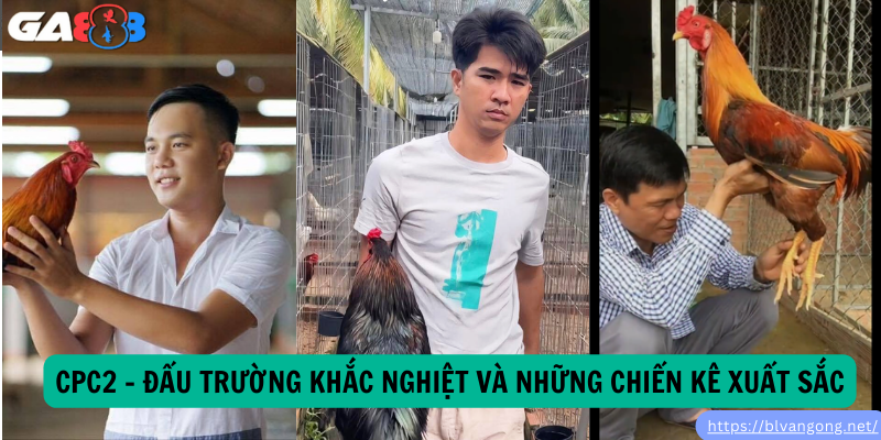 CPC2 – Đấu Trường Khắc Nghiệt Và Những Chiến Kê Xuất Sắc CPC2 – Đấu Trường Khắc Nghiệt Và Những Chiến Kê Xuất Sắc