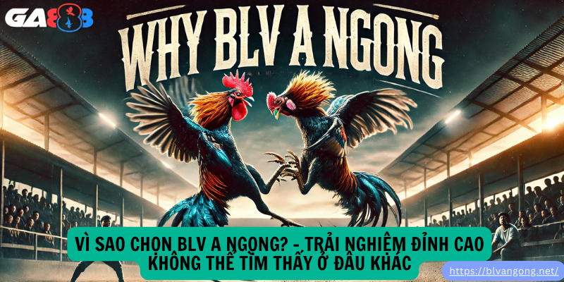 Vì Sao Chọn BLV A Ngọng? – Trải Nghiệm Đỉnh Cao Không Thể Tìm Thấy Ở Đâu Khác Vì Sao Chọn BLV A Ngọng? – Trải Nghiệm Đỉnh Cao Không Thể Tìm Thấy Ở Đâu Khác