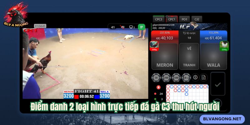 Điểm danh 2 loại hình trực tiếp đá gà C3 thu hút người