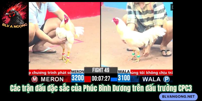 Các trận đấu đặc sắc của Phúc Bình Dương trên đấu trường CPC3