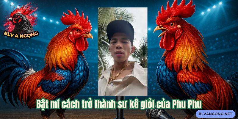 Bật mí cách trở thành sư kê giỏi của Phu Phu