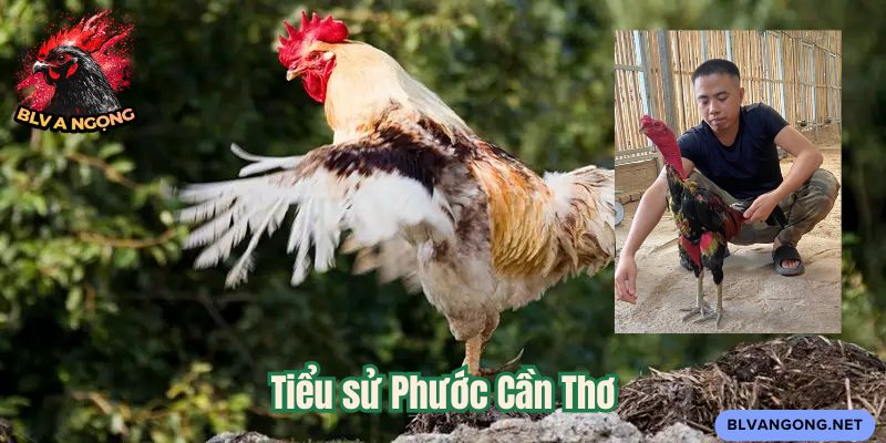 Tiểu sử Phước Cần Thơ