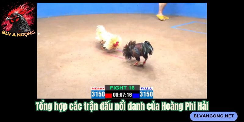 Tổng hợp các trận đấu nổi danh của Hoàng Phi Hải