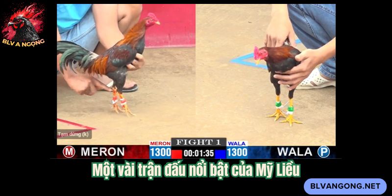 Một vài trận đấu nổi bật của Mỹ Liều