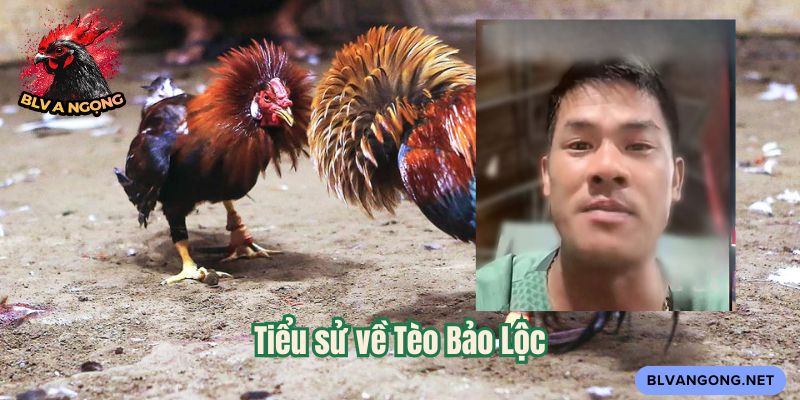 Tiểu sử về Tèo Bảo Lộc