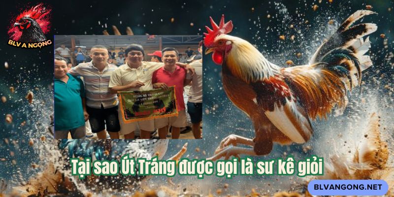 Tại sao Út Tráng được gọi là sư kê giỏi