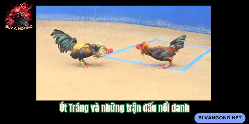 Út Tráng và những trận đấu nổi danh