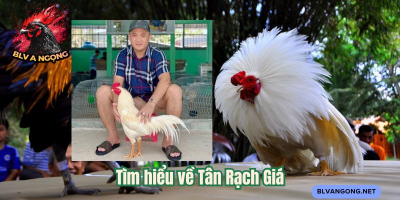 Tìm hiểu về Tân Rạch Giá