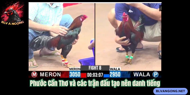 Phước Cần Thơ và các trận đấu tạo nên danh tiếng