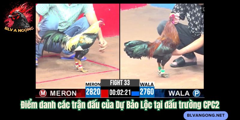 Điểm danh các trận đấu của Dự Bảo Lộc tại đấu trường CPC2