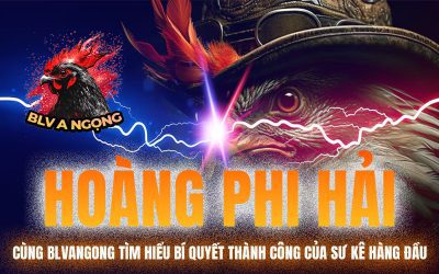 Hoàng Phi Hải – Cùng BLVANGONG Tìm Hiểu Bí Quyết Thành Công Của Sư Kê Hàng Đầu