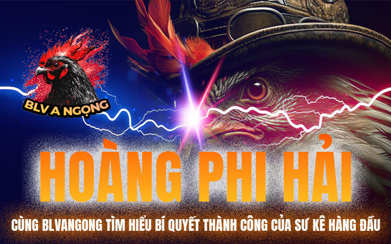 Hoàng Phi Hải – Cùng BLVANGONG Tìm Hiểu Bí Quyết Thành Công Của Sư Kê Hàng Đầu