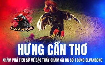 Hưng Cần Thơ – Khám Phá Tiểu Sử Về Bậc Thầy Chăm Gà Đá Số 1 Cùng BLVANGONG