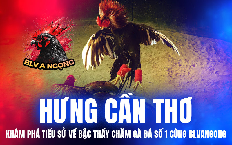 Hưng Cần Thơ – Khám Phá Tiểu Sử Về Bậc Thầy Chăm Gà Đá Số 1 Cùng BLVANGONG