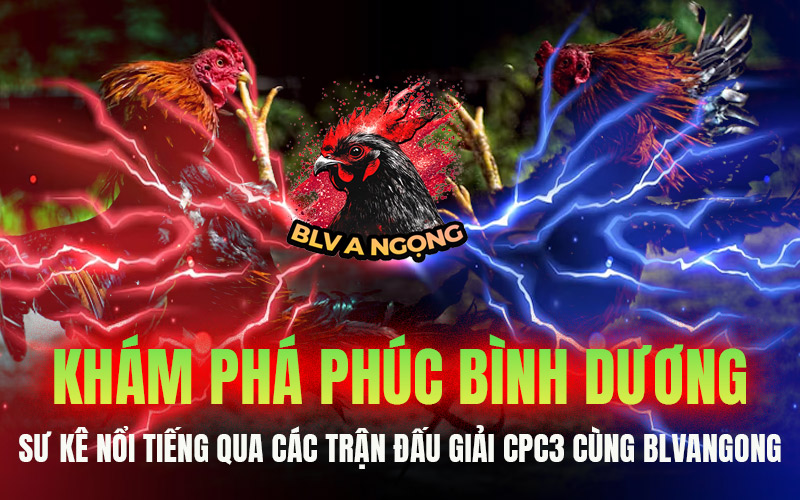 Khám Phá Phúc Bình Dương – Sư Kê Nổi Tiếng Qua Các Trận Đấu Giải CPC3 Cùng BLVANGONG