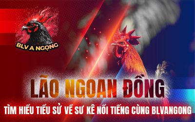 Lão Ngoan Đồng – Tìm Hiểu Tiểu Sử Về Sư Kê Nổi Tiếng Cùng BLVANGONG