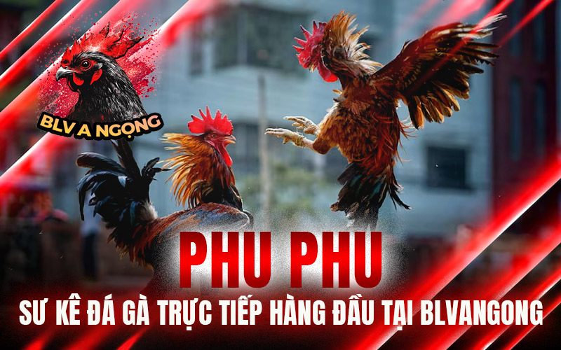 Phu Phu – Sư Kê Đá Gà Trực Tiếp Hàng Đầu Tại BLVANGONG