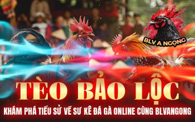 Tèo Bảo Lộc – Khám Phá Tiểu Sử Về Sư Kê Đá Gà Online Cùng BLVANGONG
