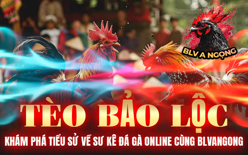 Tèo Bảo Lộc – Khám Phá Tiểu Sử Về Sư Kê Đá Gà Online Cùng BLVANGONG