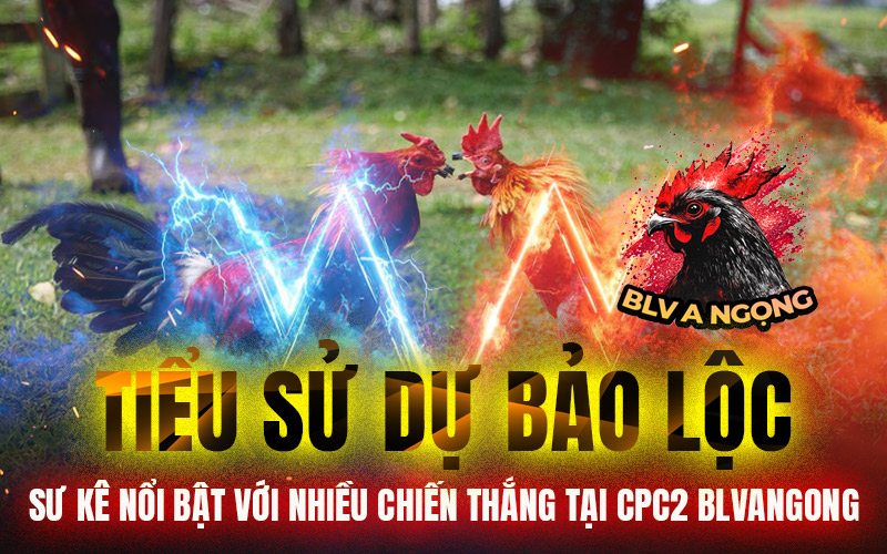 Tiểu Sử Dự Bảo Lộc – Sư Kê Nổi Bật Với Nhiều Chiến Thắng Tại CPC2 BLVANGONG