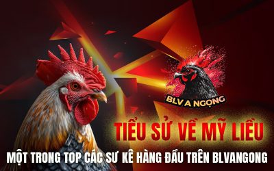 Tiểu Sử Về Mỹ Liều – Một Trong Top Các Sư Kê Hàng Đầu Trên BLVANGONG