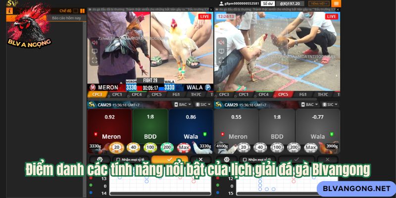 Điểm danh các tính năng nổi bật của lịch giải đá gà Blvangong