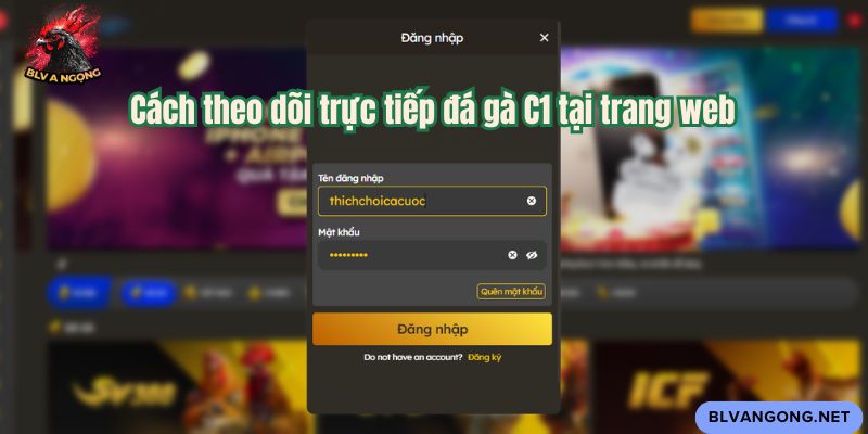 Cách theo dõi trực tiếp đá gà C1 tại trang web