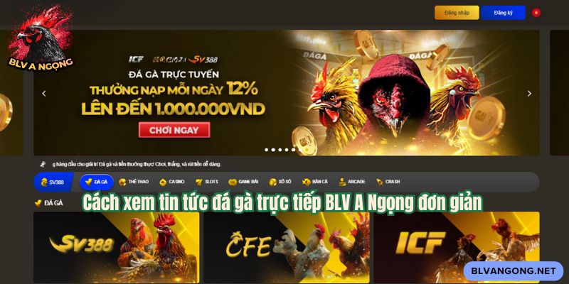 Cách xem tin tức đá gà trực tiếp BLV A Ngọng đơn giản