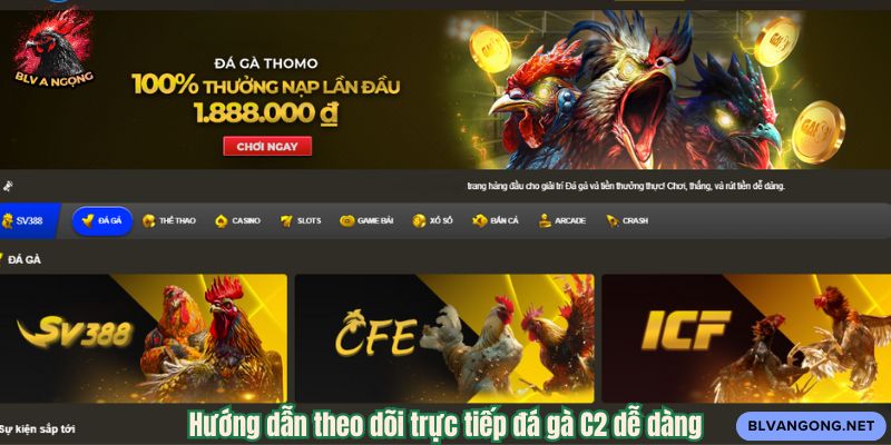 Hướng dẫn theo dõi trực tiếp đá gà C2 dễ dàng