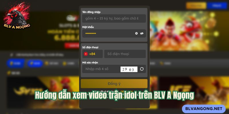 Hướng dẫn xem video trận idol trên BLV A Ngọng