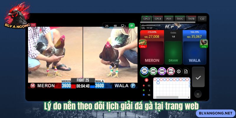 Lý do nên theo dõi lịch giải đá gà tại trang web