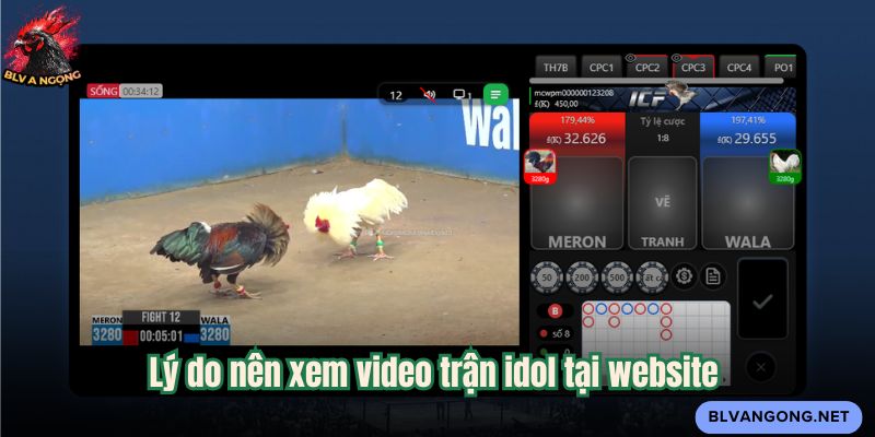 Lý do nên xem video trận idol tại website