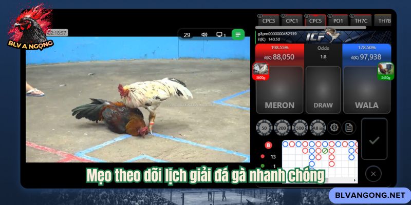 Mẹo theo dõi lịch giải đá gà nhanh chóng