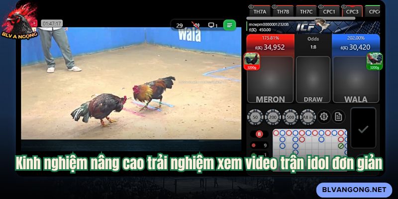 Kinh nghiệm nâng cao trải nghiệm xem video trận idol đơn giản