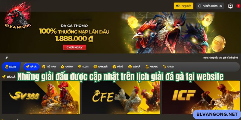 Những giải đấu được cập nhật trên lịch giải đá gà tại website