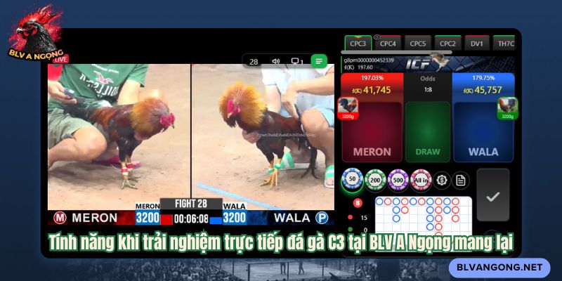 Tính năng khi trải nghiệm trực tiếp đá gà C3 tại BLV A Ngọng mang lại