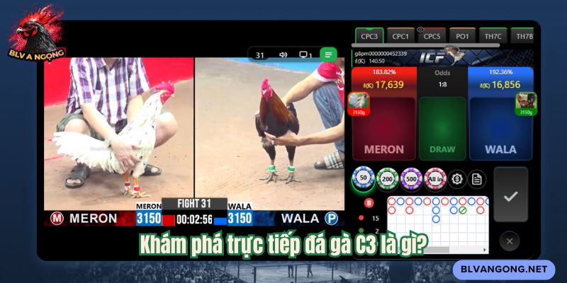 Khám phá trực tiếp đá gà C3 là gì?