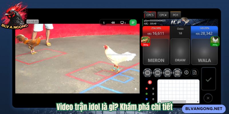 Video trận idol là gì? Khám phá chi tiết