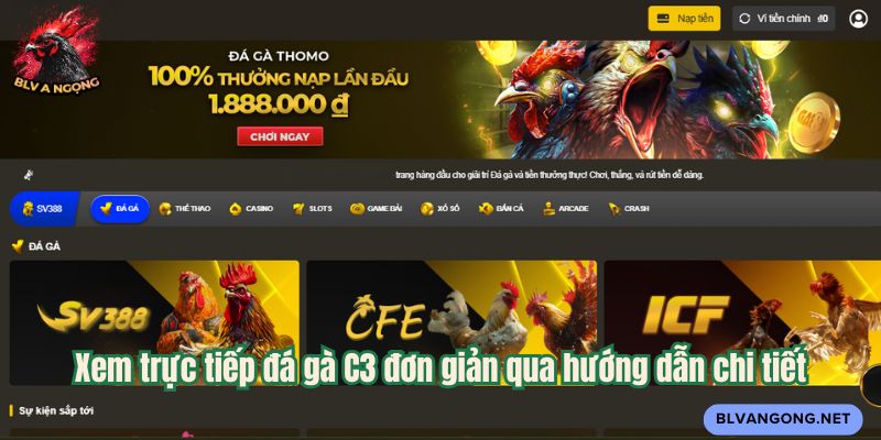 Xem trực tiếp đá gà C3 đơn giản qua hướng dẫn chi tiết